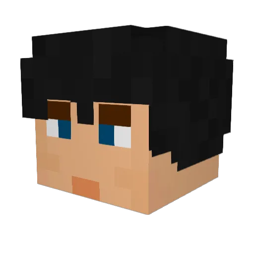 Awesome5555_ Minecraft avatar head, 3D render