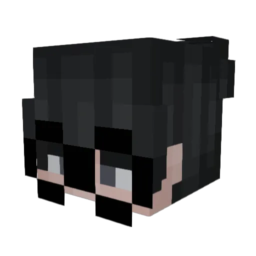 AwesomeAce4145 Minecraft avatar head, 3D render