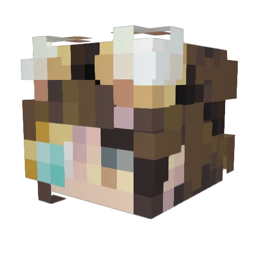 AwesomeApplepie Minecraft avatar head, 3D render