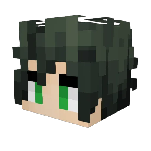 AwesomeAvocadoLP Minecraft avatar head, 3D render
