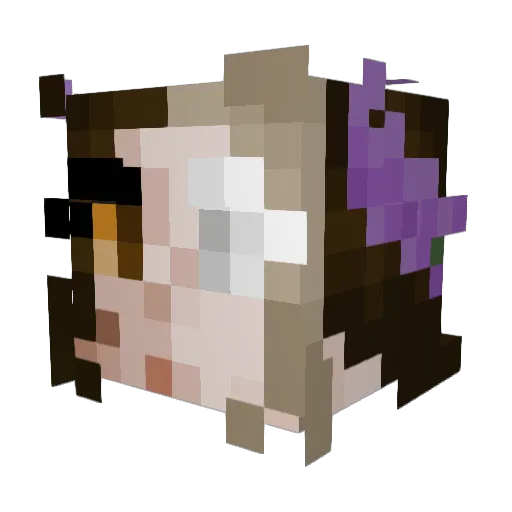 AwesomeBurgerz Minecraft avatar head, 3D render