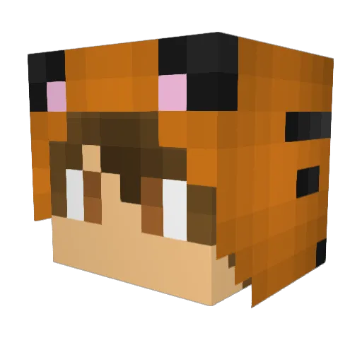 AwesomeCoolTiger Minecraft avatar head, 3D render