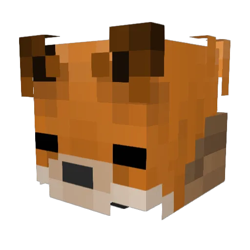 AwesomeFox321 Minecraft avatar head, 3D render