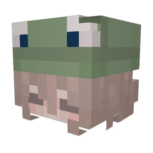 AwesomeGamer1234 Minecraft avatar head, 3D render