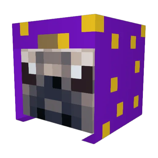 AwesomeGamer404 Minecraft avatar head, 3D render