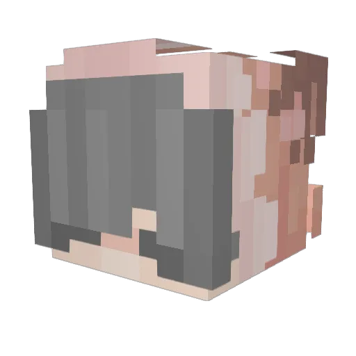 AwesomeMatic Minecraft avatar head, 3D render