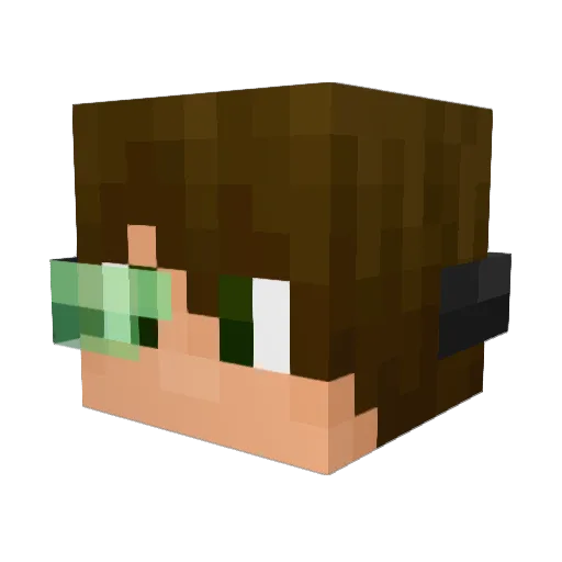 AwesomeNinja886 Minecraft avatar head, 3D render