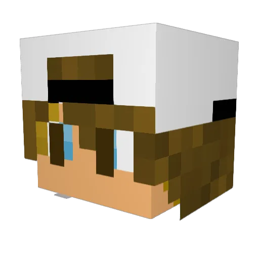 AwesomePlayer114 Minecraft avatar head, 3D render