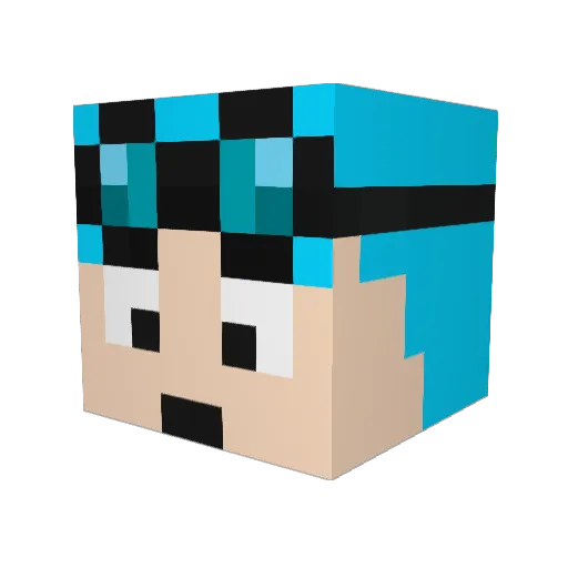AwesomeSharks13 Minecraft avatar head, 3D render