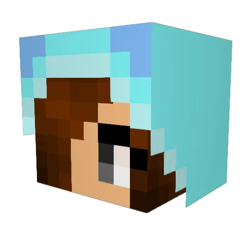 AwesomeSquid13 Minecraft avatar head, 3D render