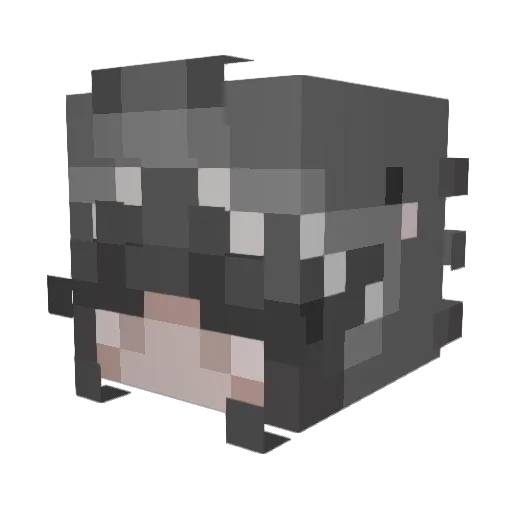 AwesomeTwig Minecraft avatar head, 3D render
