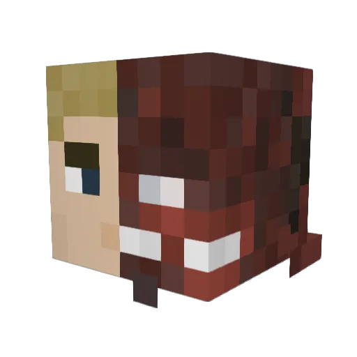 Awesome_Dude271 Minecraft avatar head, 3D render