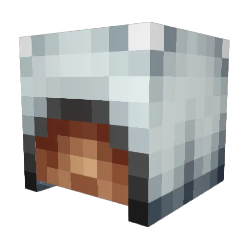 Awesome_Hobo Minecraft avatar head, 3D render