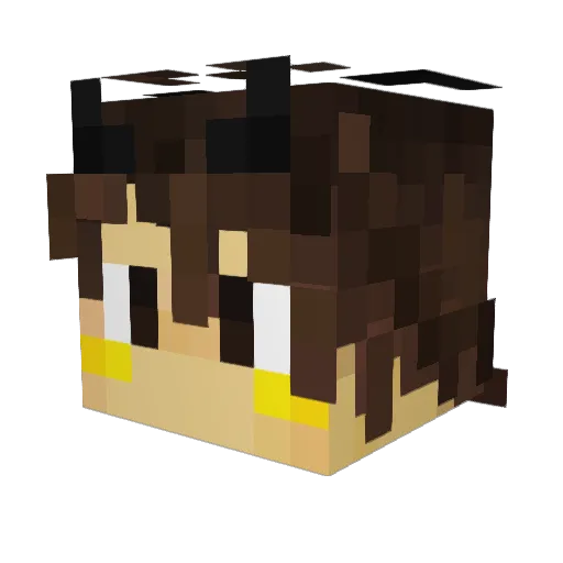 Awesome_Opossumm Minecraft avatar head, 3D render