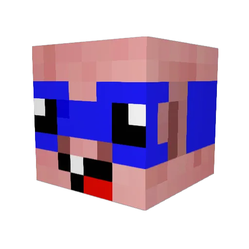 Awesome_Pig87 Minecraft avatar head, 3D render