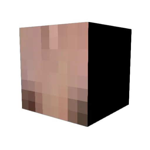 Awesomeator12 Minecraft avatar head, 3D render