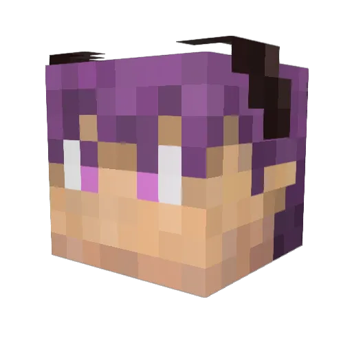 Awesomecola Minecraft avatar head, 3D render