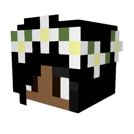 Awesomelake20 Minecraft avatar head, 3D render