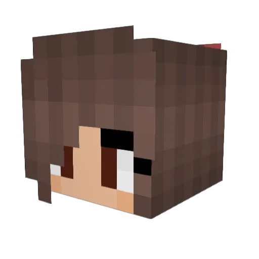Awesomeness1552 Minecraft avatar head, 3D render