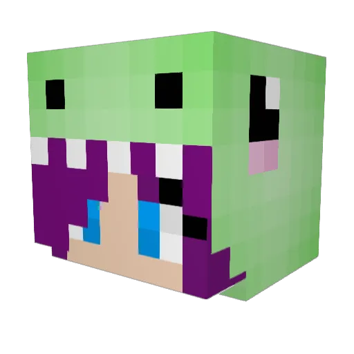 Awesomeninja1231 Minecraft avatar head, 3D render
