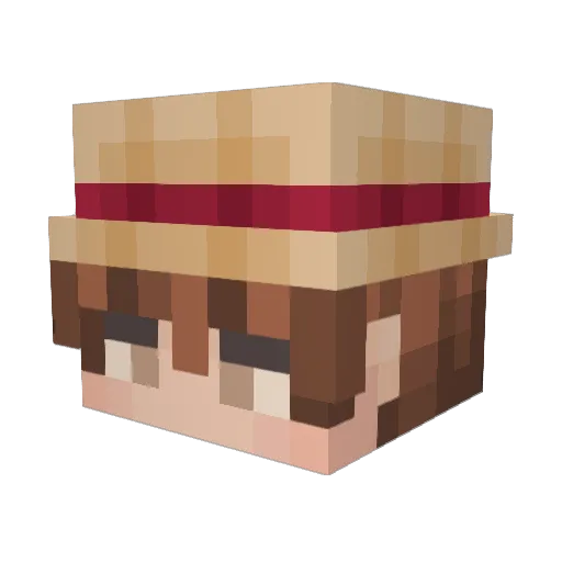 Awesomesauce1044 Minecraft avatar head, 3D render