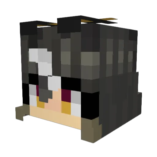 Awesometorres Minecraft avatar head, 3D render