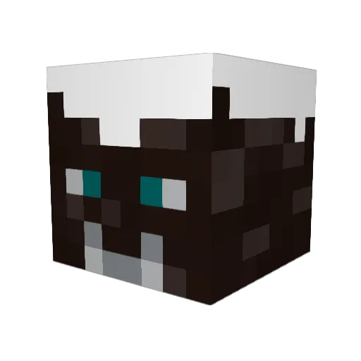 AwfulCakes Minecraft avatar head, 3D render