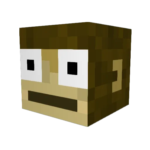 AwfulChicken736 Minecraft avatar head, 3D render