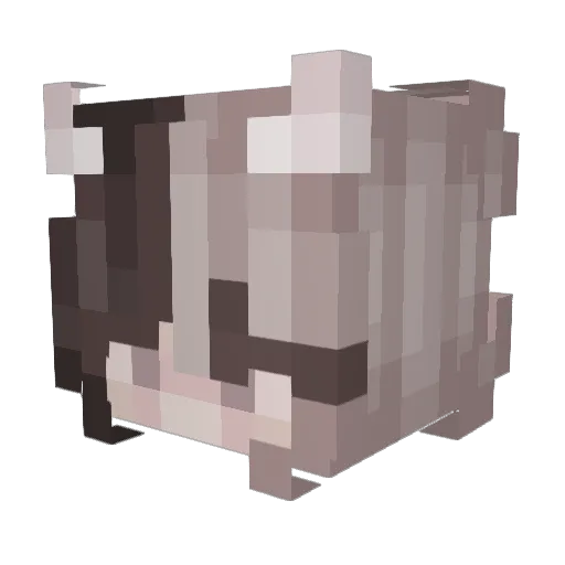 AwfullyGoonie Minecraft avatar head, 3D render