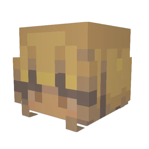 AwhAvieeee Minecraft avatar head, 3D render