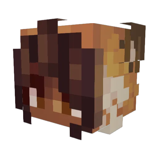 AwhJazz Minecraft avatar head, 3D render