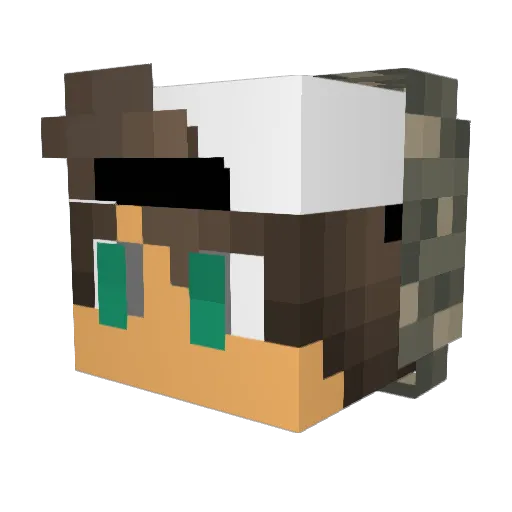Awkoss Minecraft avatar head, 3D render