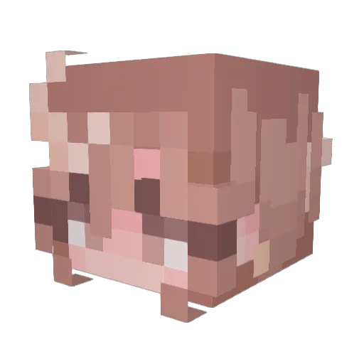 AwkwardDonut536 Minecraft avatar head, 3D render