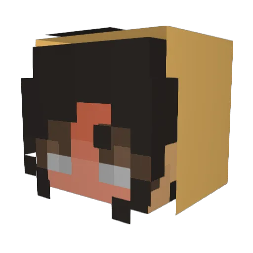 AwkwardLys Minecraft avatar head, 3D render