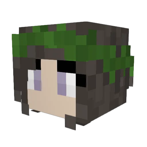 AwkwardTerror Minecraft avatar head, 3D render