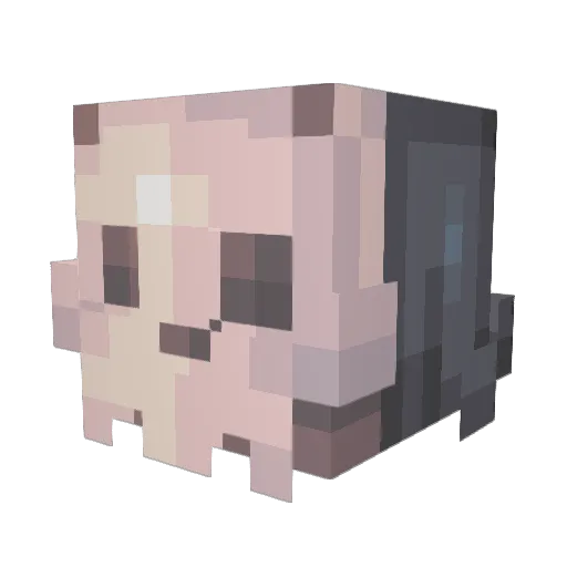 Awkward_Moron Minecraft avatar head, 3D render