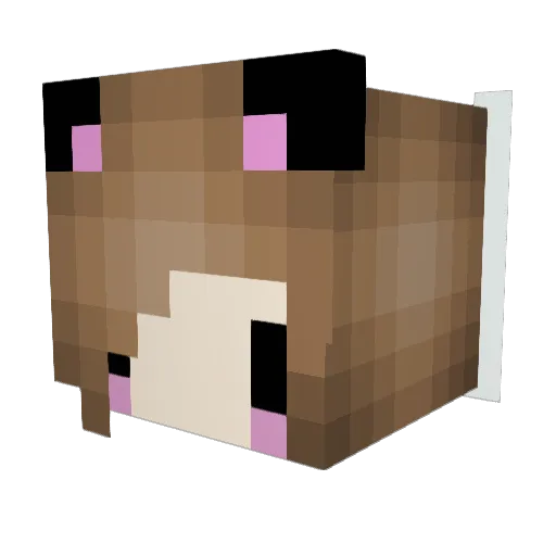 AwkwardlyPotter Minecraft avatar head, 3D render