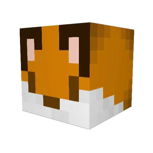 AwolNation Minecraft avatar head, 3D render