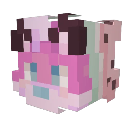 Awooscar Minecraft avatar head, 3D render