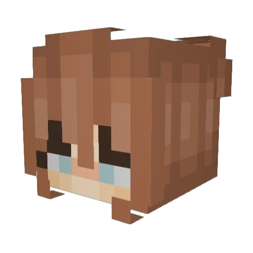 Awow Minecraft avatar head, 3D render