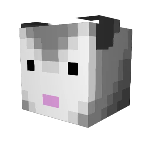 Awryn666 Minecraft avatar head, 3D render
