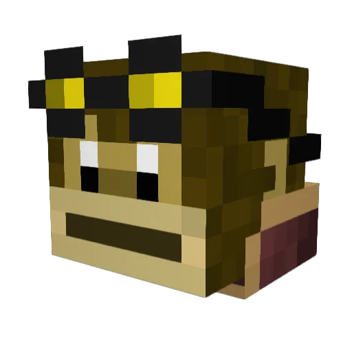AwsomeAmir1001 Minecraft avatar head, 3D render