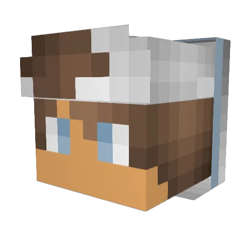 AwsomeFoxy7707 Minecraft avatar head, 3D render