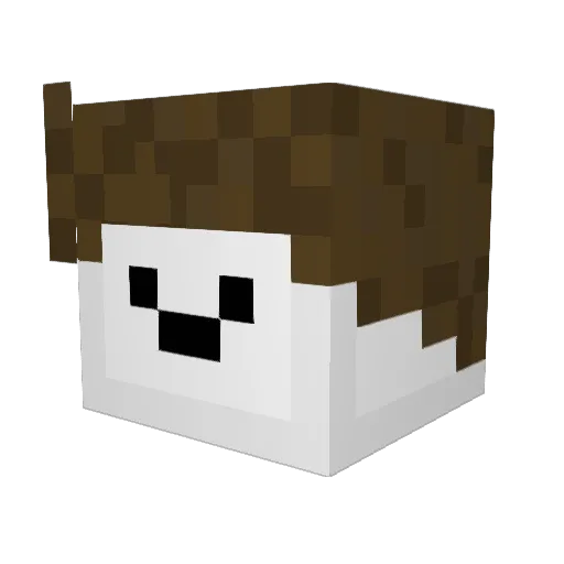 Awsomeman877 Minecraft avatar head, 3D render