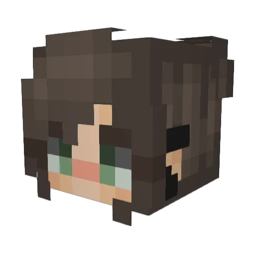 Awsup Minecraft avatar head, 3D render