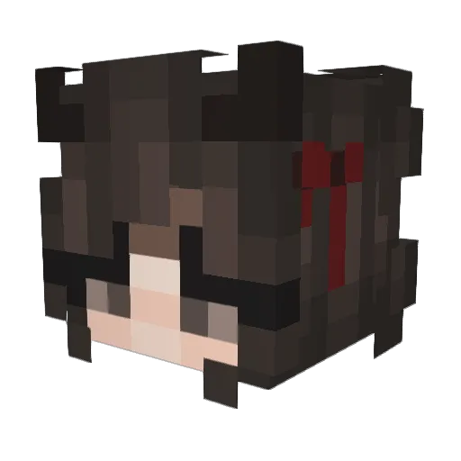 Awtism_Plays Minecraft avatar head, 3D render