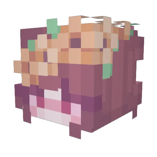 Awwwgust Minecraft avatar head, 3D render