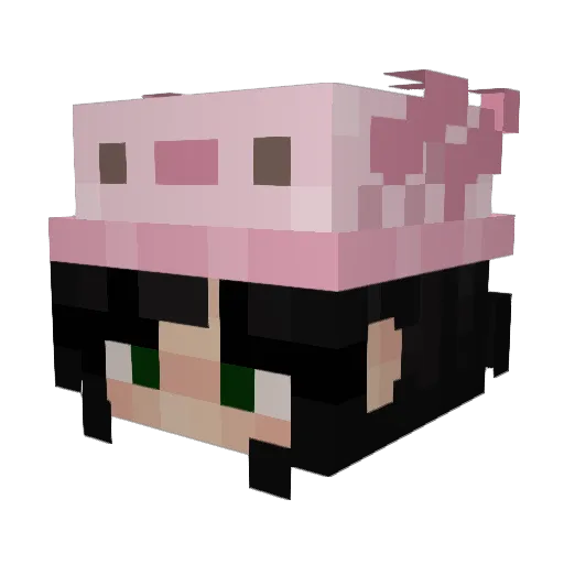 Ax0WasTaken Minecraft avatar head, 3D render