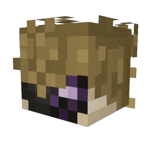 Axaruz Minecraft avatar head, 3D render