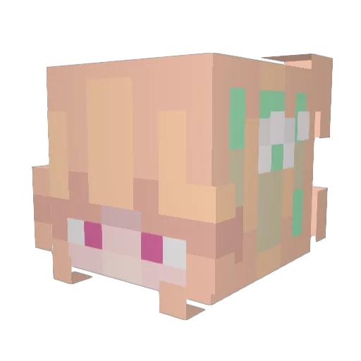 Axaryy Minecraft avatar head, 3D render